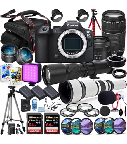 EOSR6セット Amazon.com : Canon EOS R6 Mark II Mirrorless Camera with 24-105mm